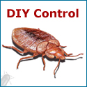 Pest Control Direct - Bed Bugs