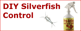 PCD - Silverfish