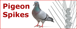 PCD - Pigeon Spikes