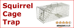 Amazon - Squirrel Trap