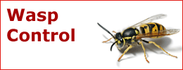 PCD - Wasp Control
